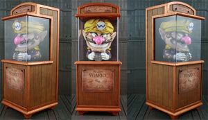 Kodykoala's Custom Wario Fortune Teller